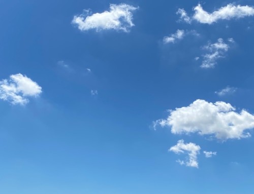 ハイエンド対応研修行いました